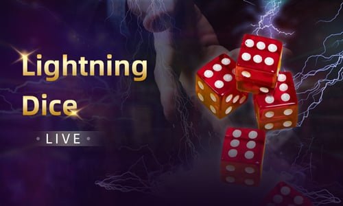 A dk win live casino table scene displayed on a mobile screen